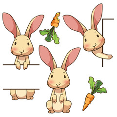 Tiny rabbit sign board