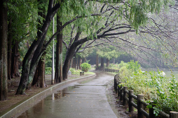 雨の日の遊歩道
