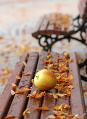 ripe apple and autumn leaves on a wood bench