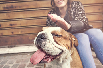 owner caressing gently her dog