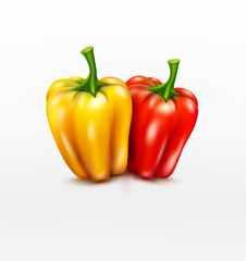Isolate. Two vector peppers (red and yellow) isolated on white b