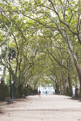 garden view in a end summer days