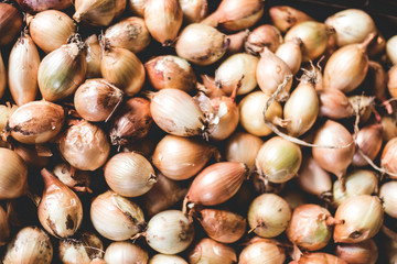lot of onion, food background at market
