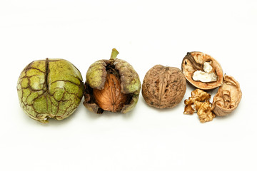 Очистка грецких орехов