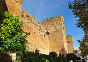 Castillo de Priego de Cordoba, Andalucia, España