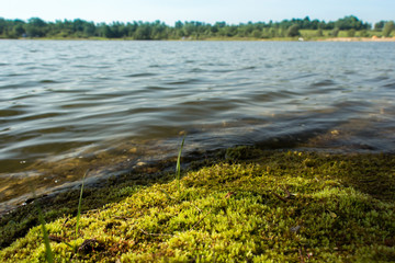 On the shores of lake
