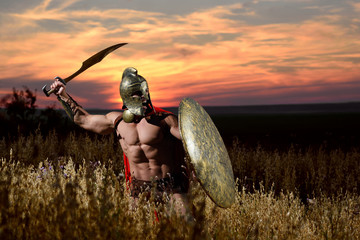 Armored Spartan warrior with a field