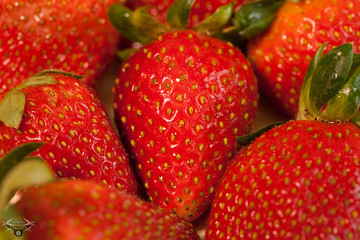background from freshly harvested strawberries