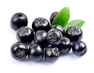 Chokeberry close up.