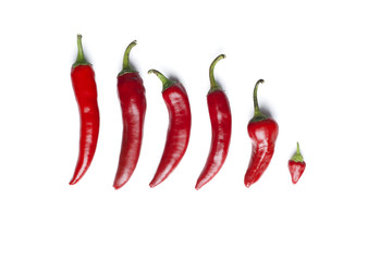 chili pepper on a white background
