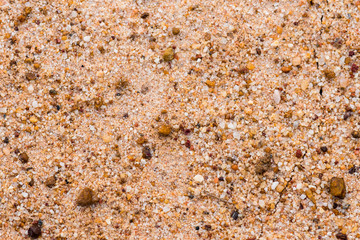 Dirt soil background texture