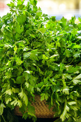 Fototapeta premium a basket of fresh italian parsley
