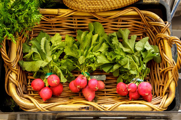 fresh red radish with leaves