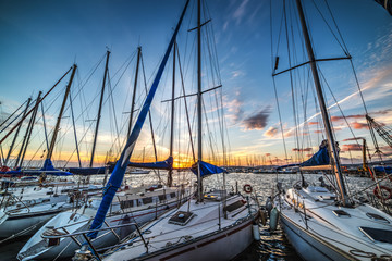 white boats in Alghero harbor