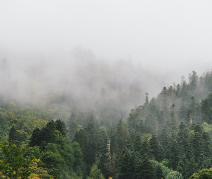 Fototapeta Mist in the mountains