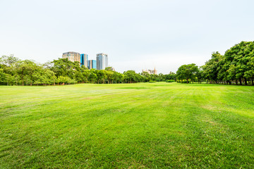 Public park landscape