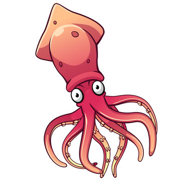 Cartoon Squid Images – Browse 26,276 Stock Photos, Vectors, and Video |  Adobe Stock