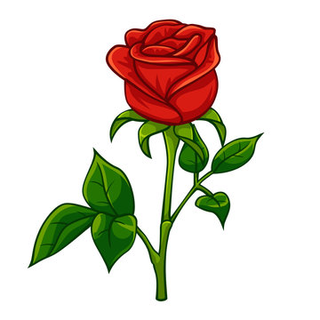 Red rose cartoon style