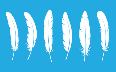 Feathers set on blue background