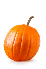 Halloween pumpkin on a white background