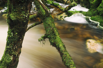 Knyvet Falls in Cradle Mountain