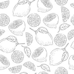 Obraz premium Seamless pattern with sketch lemons. Vector citrus background. 