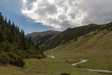 Fototapeta na wymiar mountain stream in the valley