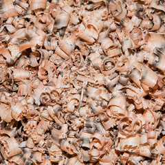 wood sawdust as abstract and background in Thailand