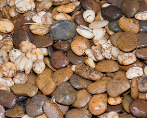abstract closeup stone texture and  background in garden