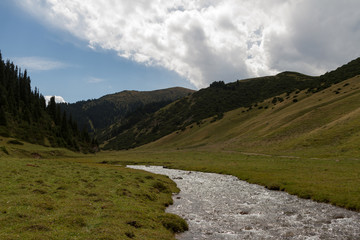 Fototapeta premium Stream in a mountain gorge