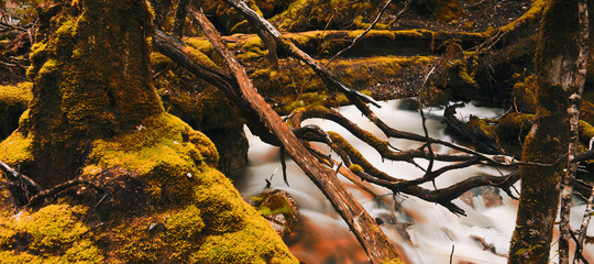 Knyvet Falls in Cradle Mountain