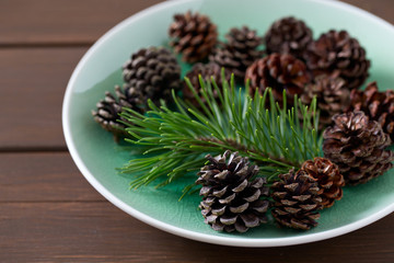 pine cones with branch on a white background