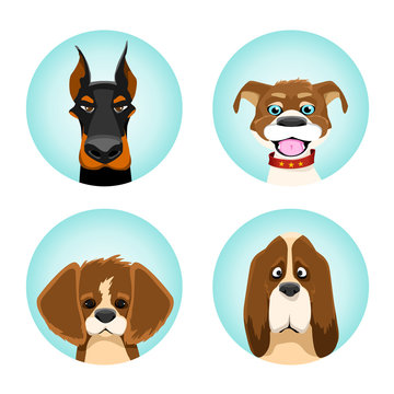 set of avatars pedigree dogs. vector illustration.