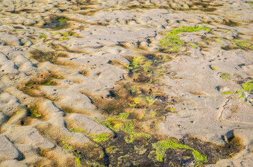 After retiring water on the beach