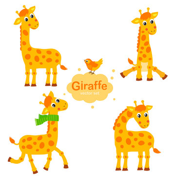 Cute Giraffe Vector Set. Collection Giraffe In Different Poses. Funny Characters Set. Cartoon giraffe in children style.