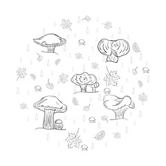  Set of Hand Drawn Sketch autumn  leaves, mushrooms and drops arranged in a shape of a circle. Different  Fall Symbols. Perfect for Autumn Design. Vector illustration.
