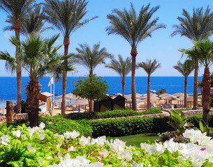 Resort in Sharm El Sheikh.