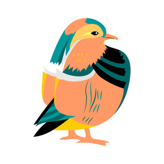 Hand Drawn Mandarine Duck. Exotic Oriental Cute Bird Isolated on White. Perfect for Print. Vector Illustration.