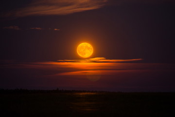 Obraz premium Blood Red Moon