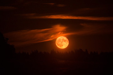 Blood Red Moon