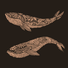 Large multicolored whale on a blue water background. An adult painted by hand in the art of different strokes, curls. zentangle style. Vector. The sad . Most sea, ocean fish, mammals.