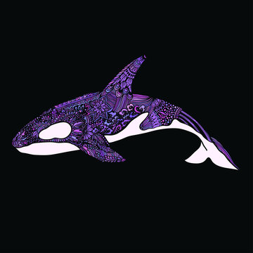 Ethnic Animal Doodle Detail Pattern - Killer Whale Zentangle Illustration