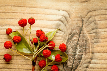 Christmas decorations