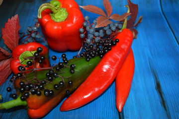 Collage of autumn vegetables, peppers, tomatoes and bunches of grapes and autumn berries on a bright blue wooden background in rustic style