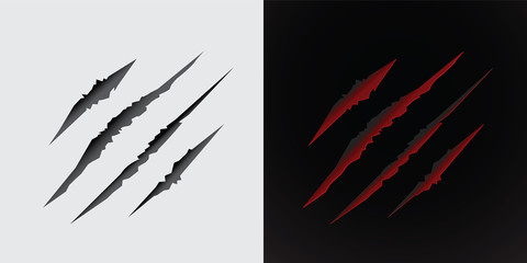 Obraz premium Claws scratching animal isolated vector illustration. Grey and red version.