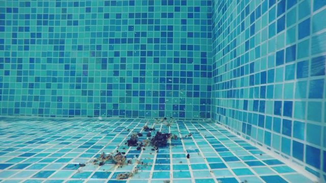 Dirt on the bottom of the swimming pool