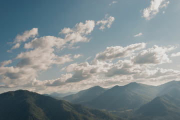 Fototapeta premium Forest in the mountains