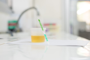 normal yellow urine in laboratory testing.