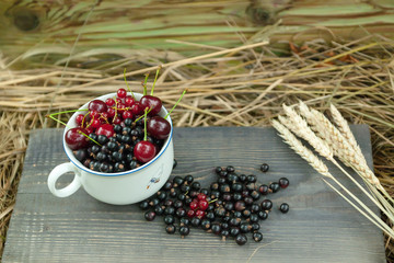 black currants on gray board