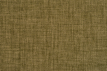 Green fabric background.